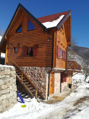 Vila Jelena
